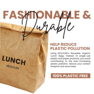 EKOLOJEE Insulated Paper Reusable Lunch Bag | Insulated Durable For Cold And Hot Food And Snacks | Insulated Canvas Lunch Bags, Brown Paper Bag | Classic Worthbuy Lunch Bag For Men & Women