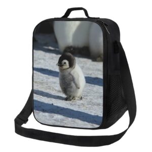 cute penguins lunch box picnic bags animal tote insulated portable penguins decor container meal bag