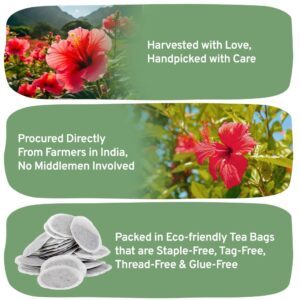 HANDPICK, Hibiscus Tea Bags - 100 Count | Caffeine-Free, Pure Ingredients - Hibiscus Flowers | Brew Hot, Iced Tea or Kombucha Tea | Round Nutritious Herbal Tea Bags