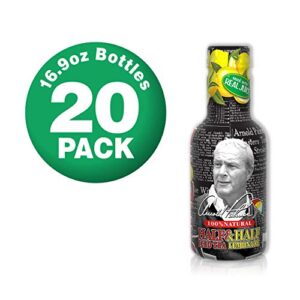 Arizona Arnold Palmer Half Tea Lemonade, 16.9 Fl Oz, Pack Of 20