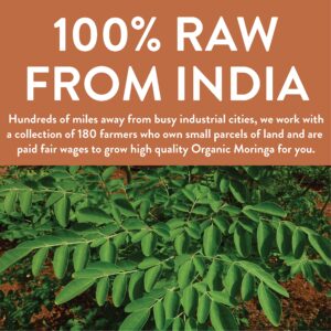 FGO Organic Moringa Oleifera Leaf Powder, 100% Raw from India, 16oz (Pack of 1)