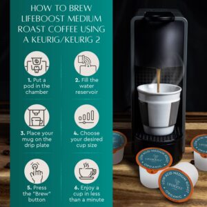 Lifeboost Medium Roast Low Acid Coffee K Cups - Single Origin Mold Free Non-GMO Organic Coffee Pods - Compatible with Keurig & Keurig 2 Machines - 10 Count