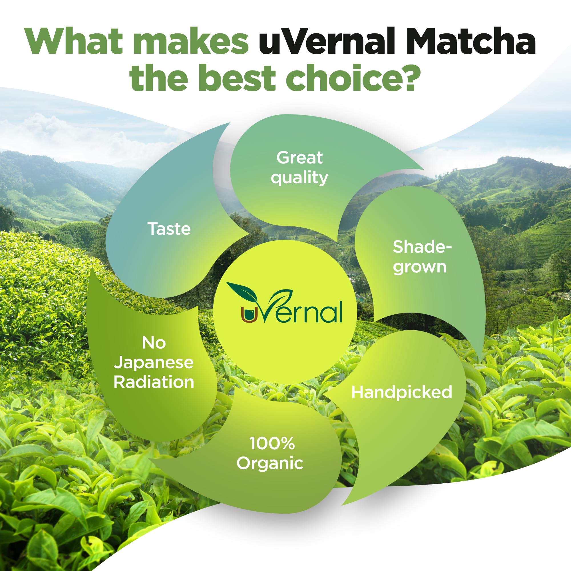 uVernal Organic Matcha Green Tea Powder - 100% Pure Matcha for Smoothies Latte and Baking Easy to Mix - 4oz