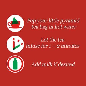 Pg Tips Premium Black Tea For a Classic Caffeinated Beverage,Pyramid Black Tea Bags,40 Count (Pack of 6)