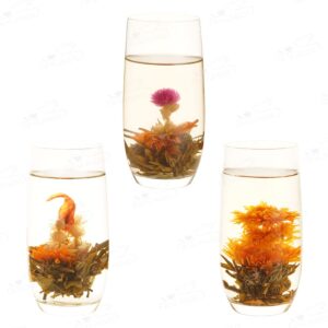 LWXLJMJZC－12pcs Individually Wrapped Blooming Tea，Jasmine Flowering Tea, Green Tea with Flowers－Gifts For Tea Lovers (12 Different Flavors)