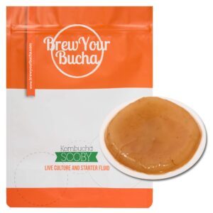 brew your bucha kombucha tea scoby with starter fluid - kombucha starter kit with scoby, live culture, scoby kombucha starter, kombucha kit, diy kombucha brewing kit, scoby kombucha starter (1 scoby)