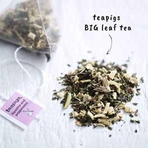teapigs Caffeine Free Liquorice & Peppermint Herbal Tea Bags, 50 Count, Pure Liquorice Root with Whole Peppermint Leaves