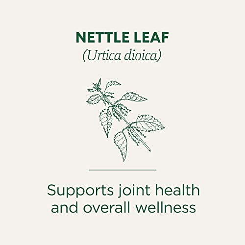 Traditional Medicinals Organic Nettle Leaf Herbal Tea, Supports Joint Health & Overall Wellness, (Pack of 1) - 16 Tea Bags