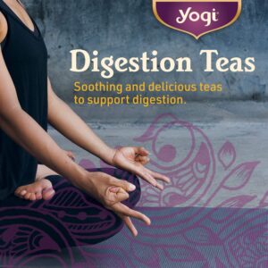 Yogi Tea Mango Ginger Tea - 16 Tea Bags per Pack (4 Packs) - Organic Ginger Root Tea to Support Healthy Digestion - Contains Antioxidants - Includes Cinnamon Bark, Rooibos Leaf, Mango Flavor & More