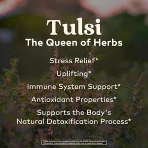 Organic India Top Eight Tulsi Herbal Teas - Holy Basil, Ashwagandha, Green, Original, Sleep, Sweet Rose, Turmeric Ginger, Lemon Ginger, Raspberry Peach - Vegan, Organic - 6 Bags Each (48 Total)