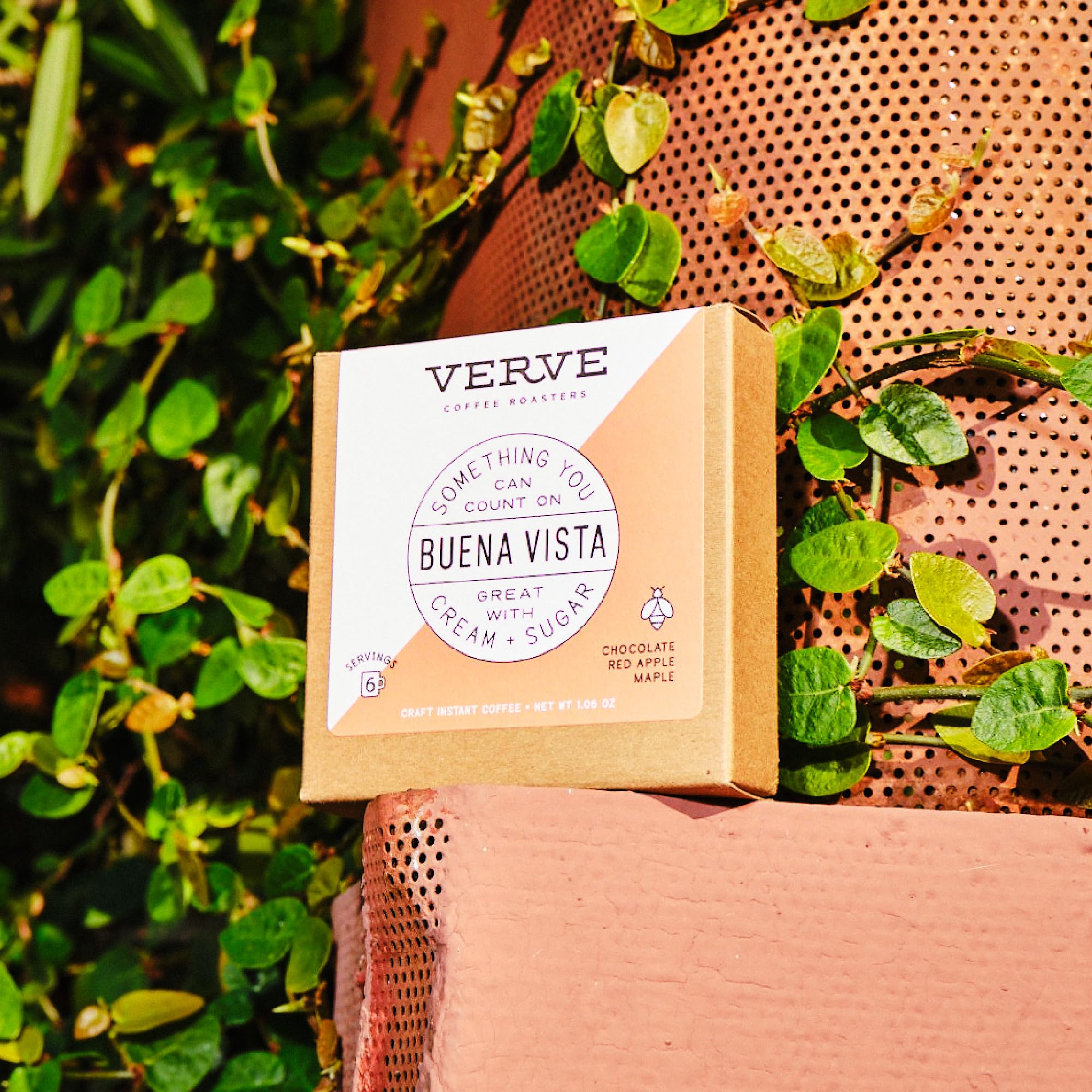 Verve Coffee Roasters Craft Instant Coffee Buena Vista Blend | Dark Roast, Ground, Hand-Roasted | Colombian Blend | Enjoy Hot or Cold | Up to 6 Servings
