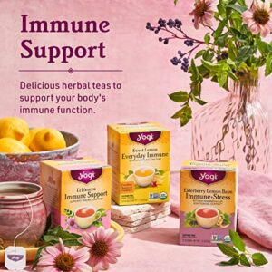 Yogi Tea - Echinacea Immune Support (6 Pack) - Supports Immune Function with Elderberry and Mullein - Caffeine Free - 96 Organic Herbal Tea Bags