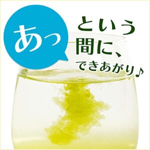 Ito En Oi Ocha Japanese Green Tea, Macha blend, pack of 100 [Japan Import]