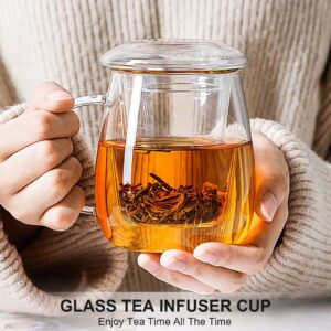 Glass Tea Infuser Cup with Strainer and Lid Gift Kit, Borosilicate Glass Teacup with Tea Filter for Blooming Tea and Loose Leaf Tea, Filter 99% of Tea Leaves, Lead-free, 17oz