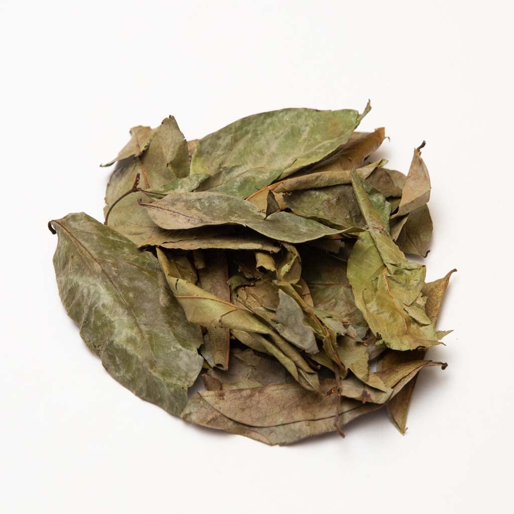 2oz Dried Soursop Tea Leaves, Graviola Loose Leaf Herbal Tea Dried, Hojas de Guanabana Seca by 1400s Spices