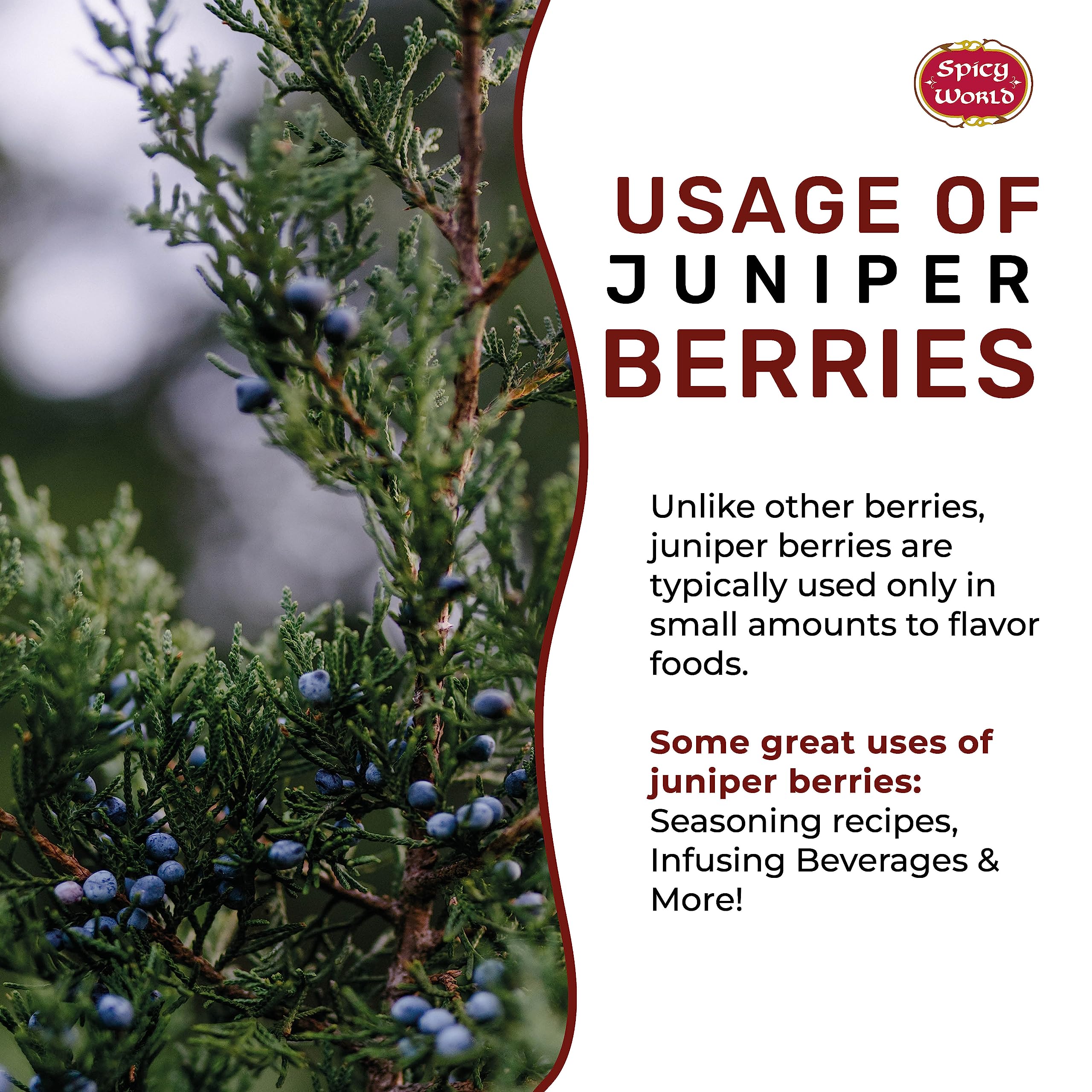 Spicy World Juniper Berries Whole 14 Ounce Bag- Pure - Great for Cooking, Drinks, Tea & More!