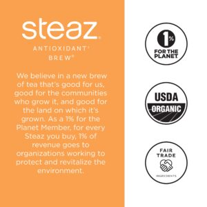 Steaz Zero Calorie Tea - Peach Mango - 16 OZ - 12 ct