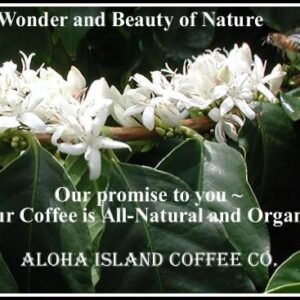 Aloha Island Coffee DIAMOND Organic 100% Pure Kona Coffee, 8 Oz Ground, 8-ounces