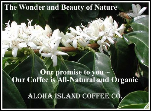 Aloha Island Coffee DIAMOND Organic 100% Pure Kona Coffee, 8 Oz Ground, 8-ounces