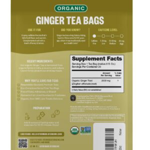 FGO Organic Ginger Tea, Eco-Conscious Tea Bags, 20 Count, Packaging May Vary (Pack of 1)