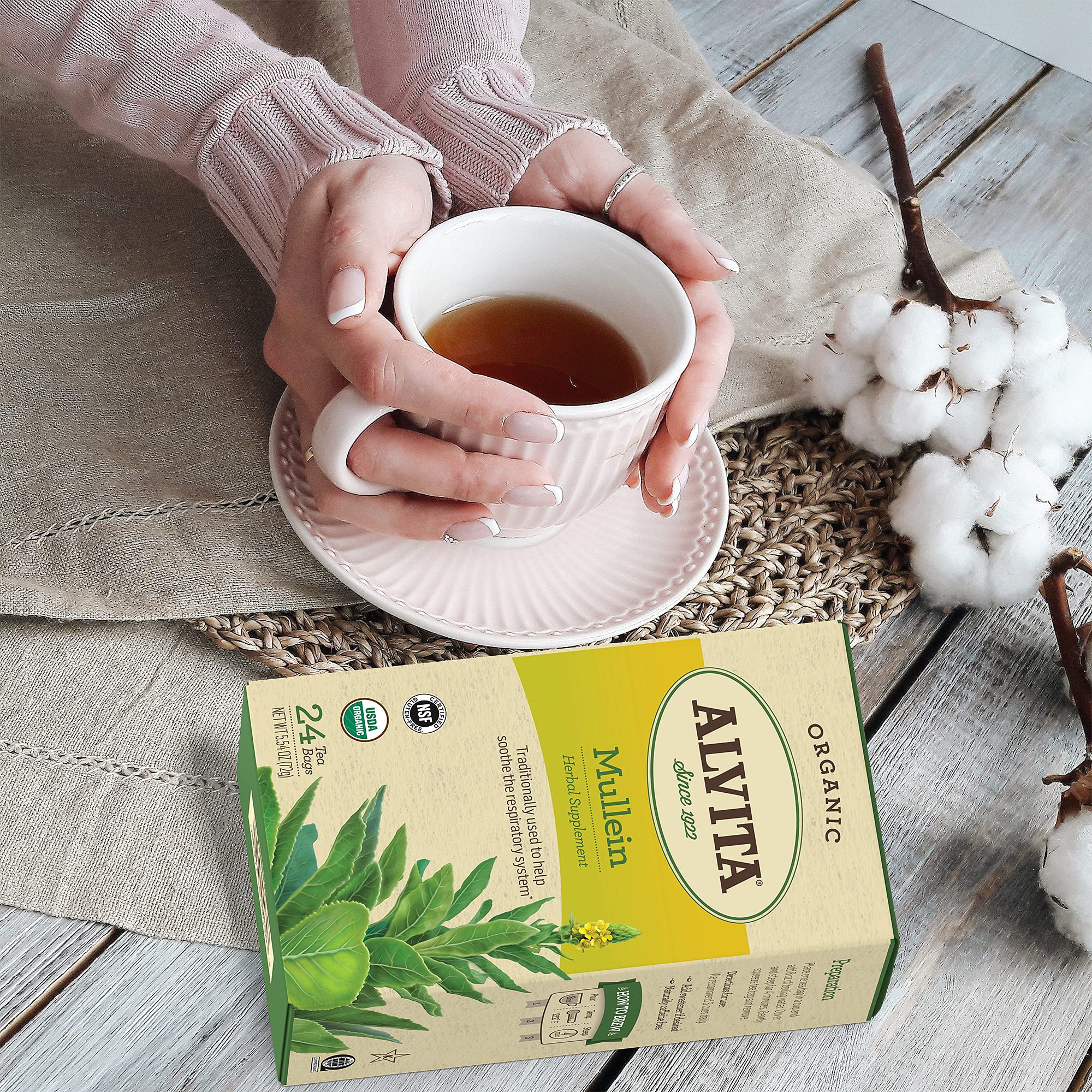 Alvita Teas Mullein Tea Bag, 24 Count