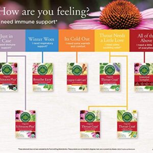 Traditional Medicinals Tea, Organic Echinacea Plus, Promotes Immune Function, w/ Spearmint, 96 Tea Bags (6 Pack)