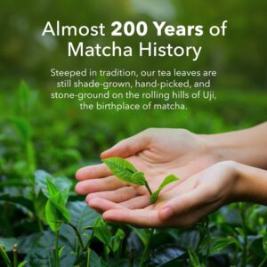 Ujido Japanese Monk Fruit Sweet Matcha (20g x 10)