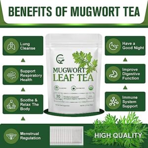 Organic Mugwort Tea Bags - Mugwort Herb Dried Leaves, Pure Natural Artemisia Vulgaris Herbal Tea, Caffeine Free, 30 Tea Bags