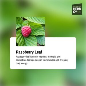 Certified Organic Raspberry Leaf Cut and Sifted 1 LB Bag –100% Natural, Kosher Berries (Rubus idaeus)