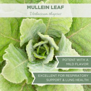 Organic Mullein Leaf 2 oz. (57g), USDA Certified Organic Mullein Leaf Tea, Mullen Leaves, Mullin Leaf, Mullein Smoking Herb, Mullein Organic Tea, Mullien Leaf, Cut & Sifted