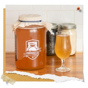 Jun Kombucha Starter Culture - USDA Certified Organic Jun SCOBY & Starter Tea - Makes 1 Gallon - Brewed with Organic Green Tea & Honey - Brew Jun Tea!