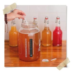 Jun Kombucha Starter Culture - USDA Certified Organic Jun SCOBY & Starter Tea - Makes 1 Gallon - Brewed with Organic Green Tea & Honey - Brew Jun Tea!