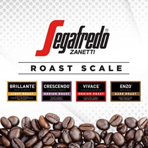 Segafredo Zanetti Ground Coffee, Vivace Medium Roast, Made with Arabica Beans, Vivacious and Balanced Flavor