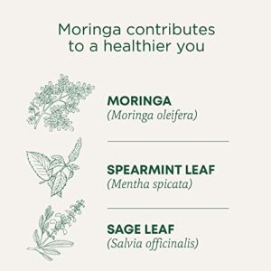 Traditional Medicinals Tea, Organic Moringa, Everyday Wellness, with Spearmint & Sage, 16 Tea Bags