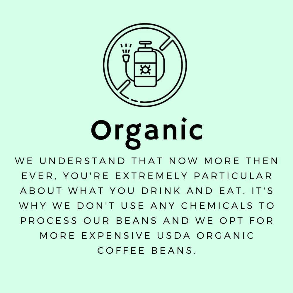 Mama Joe Organic Half Caff Coffee [Ground] - Low Acid, Low Caffeine Coffee for Pregnancy - Naturally Decaffeinated Using Mountain Water