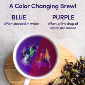 VAHDAM, Butterfly Pea Flower Tea Bags (40 Pyramid Tea Bags) Vegan, Non-GMO | Delicate & Earthy | Direct From Source - Plant Based Biodegradable Tea Bags | Brew Iced Tea, Cooking, Mocktails & Cocktails