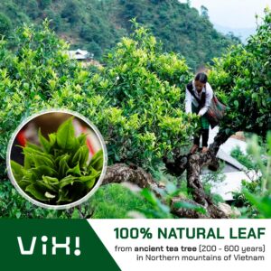 VIXI Black Tea Loose Leaf, Vietnam's Mountain Tea, Taste Better Than Tea Grown on Farm, 100% Natural from Ancient Tea Tree for Hot and Cold Brew (Vietnamese Tea, 8.00 Oz)