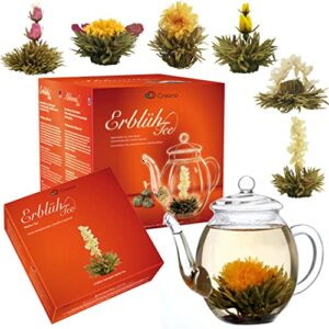 creano flowering tea gift set - white tea – 6 blooming tea with 17oz glass teapot