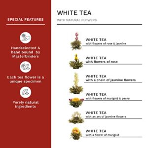 Creano Flowering Tea Gift Set - White Tea – 6 Blooming Tea with 17oz Glass Teapot