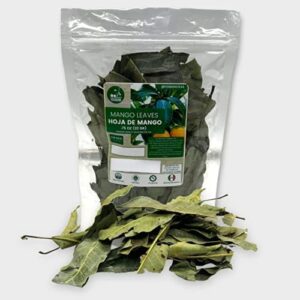 Yerbero - Hoja De Mango Entera (.75 oz - 22gr) Whole Dried Mango Leaves, Whole Leaf,100% All Natural D-Tox - Relaxation Tea | 20+ Servings | From Mexico | Premium Wildcrafted Quality.