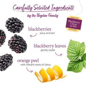 Bigelow Tea Blackberry Citrus Plus Zinc Herbal Tea, Caffeine Free, 18 Count Box (Pack of 6), 108 Tea Bags Total