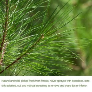 Wild Dried White Pine Needle Tea- 40 bags, 4g/bag- 100% Natural Pure Pine Needles Herbal Tea - Caffeine free- Cut & Sifted- Non-GMO - Immune Support