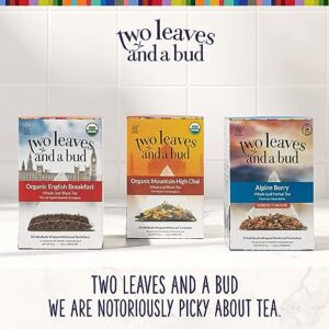 Two Leaves and a Bud Alpine Berry Herbal Tea Bags, Naturally Caffeine Free, Whole Leaf Herbal Tea with Hibiscus in Compostable Sachets, Hot or Iced, 15 Count (Pack of 1)