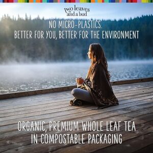 Two Leaves and a Bud Alpine Berry Herbal Tea Bags, Naturally Caffeine Free, Whole Leaf Herbal Tea with Hibiscus in Compostable Sachets, Hot or Iced, 15 Count (Pack of 1)