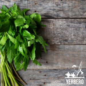 Yerbero - Dried Epazote Leaves Cut Herb 2 Oz (56 g) | Hoja De Epazote Cortadas 100% Natural | Mexican Seasoning, Tea, Edible | Epazote De Comida | Resealable Bag - Product Of Mexico.