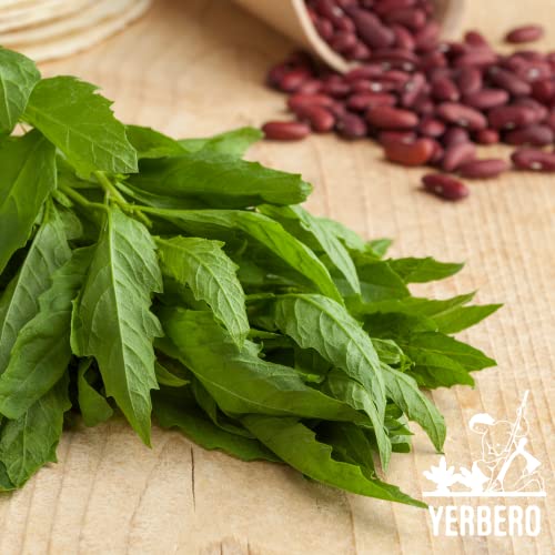 Yerbero - Dried Epazote Leaves Cut Herb 2 Oz (56 g) | Hoja De Epazote Cortadas 100% Natural | Mexican Seasoning, Tea, Edible | Epazote De Comida | Resealable Bag - Product Of Mexico.