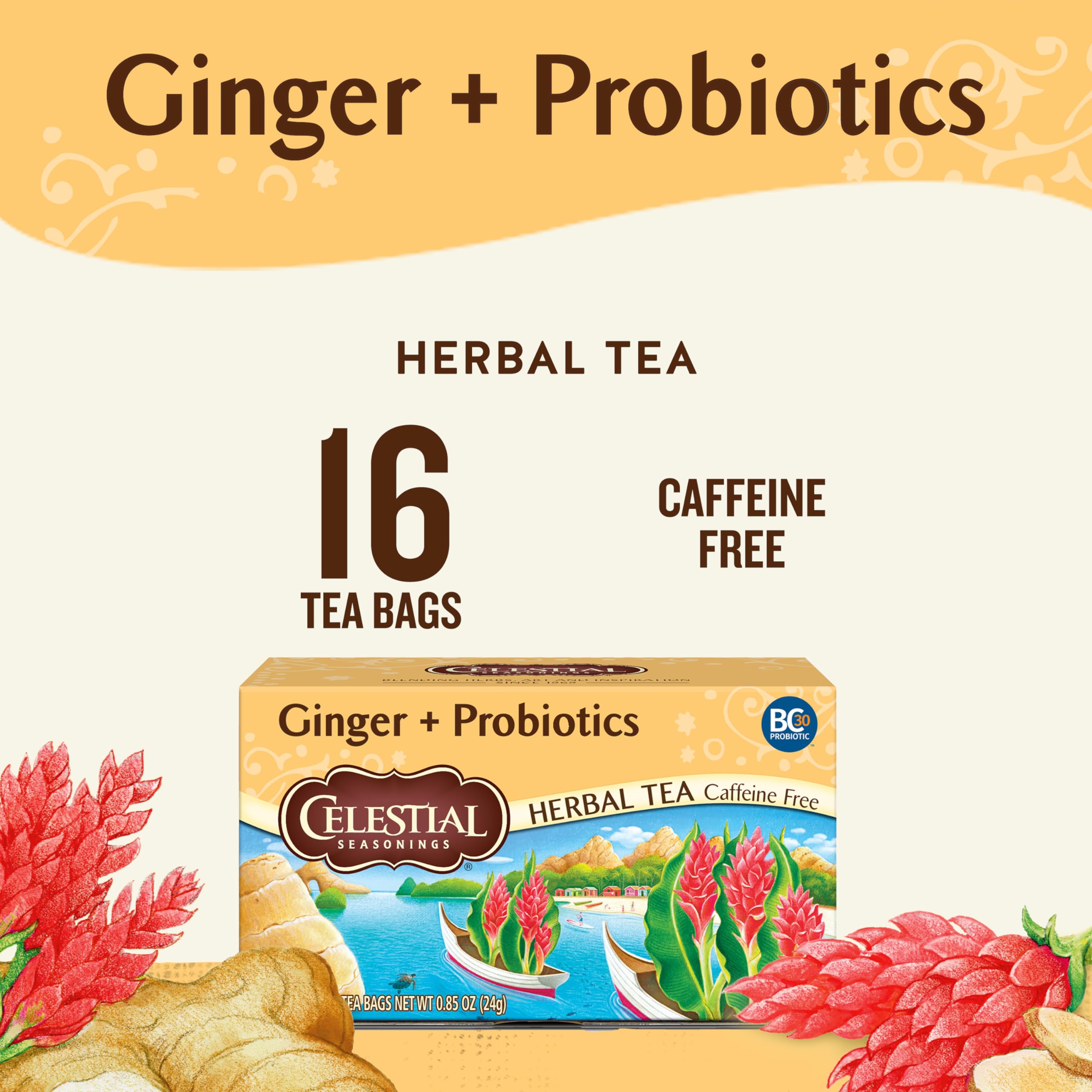 Celestial Seasonings Ginger + Probiotics Herbal Tea, Caffeine Free, 16 Tea Bags Box, (Pack of 6)
