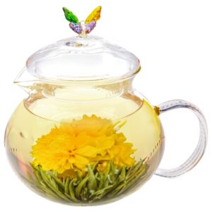 Blooming Tea Flowers - Pomegranate & Pineapple Flowering Teas – Hand-Tied Flowering Tea Balls - Each Tea Blossom Can Be Used Multiple Times (2-Pack)