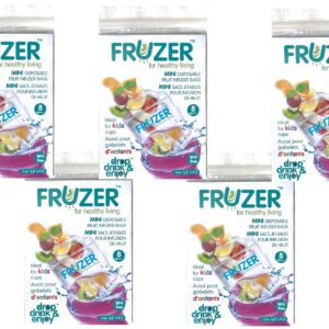 FRUZER Mini Disposable Fruit Infuser Bags (5 PK, each 8 Bags) Total 40 Bags - Refreshing & Beneficial - CLEAR & BPA-FREE