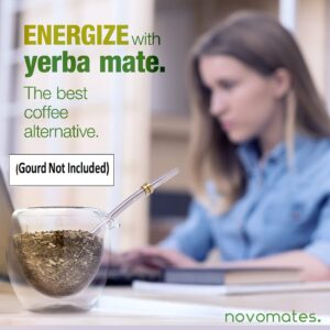 Novomates Easy Clean Yerba Mate Straw - Bombilla Mate for Mate Tea Drinking Filter Straw – Mate Straw Food-Grade Stanley Steel Mate Straw - 6.2" (15.8cm) Long (Mate Gourd not included)